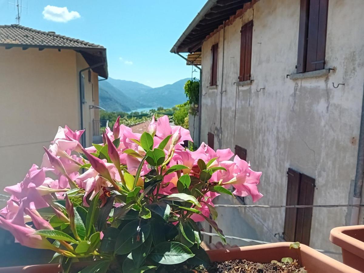 Casa Di Ariel Holiday home